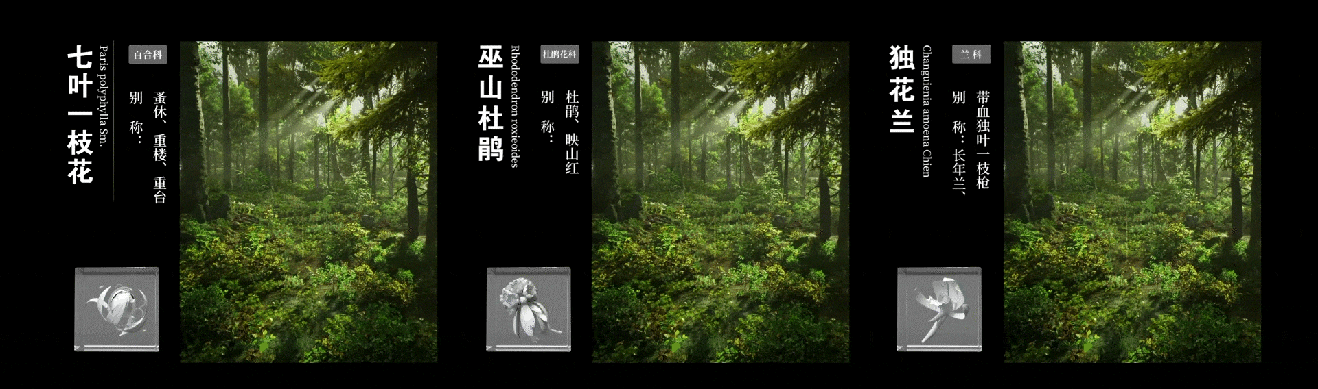 “巫山”自然遗产馆与规划展示馆（上）