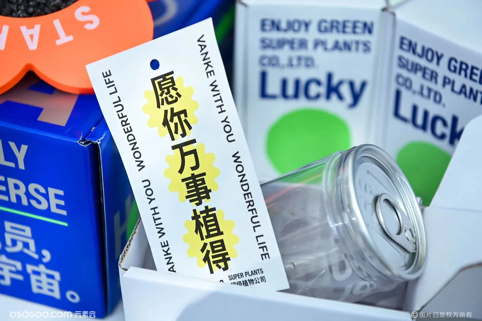 万事「植」得屋快闪店